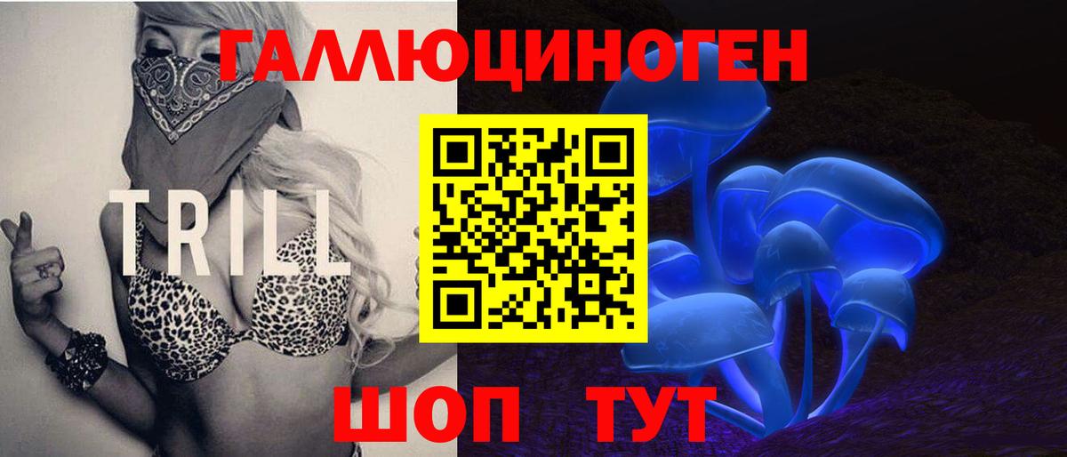 Галлюциногенные грибы Cubensis Малгобек