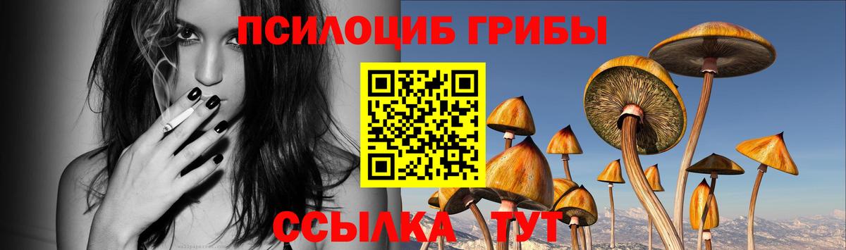 Галлюциногенные грибы мицелий  Вход с VPN  Малгобек 
